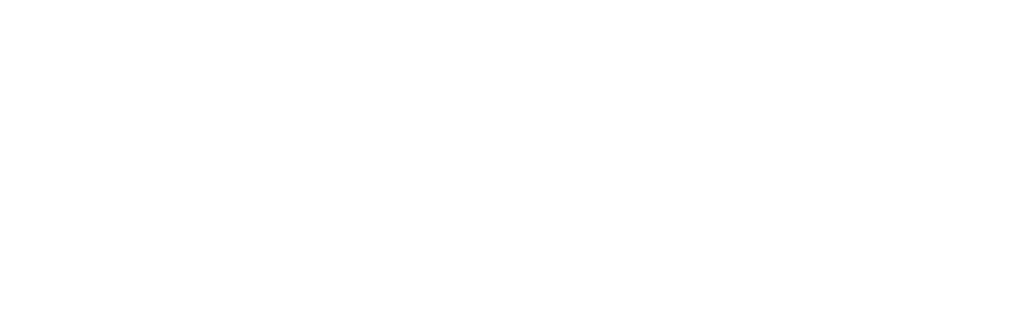 Bola